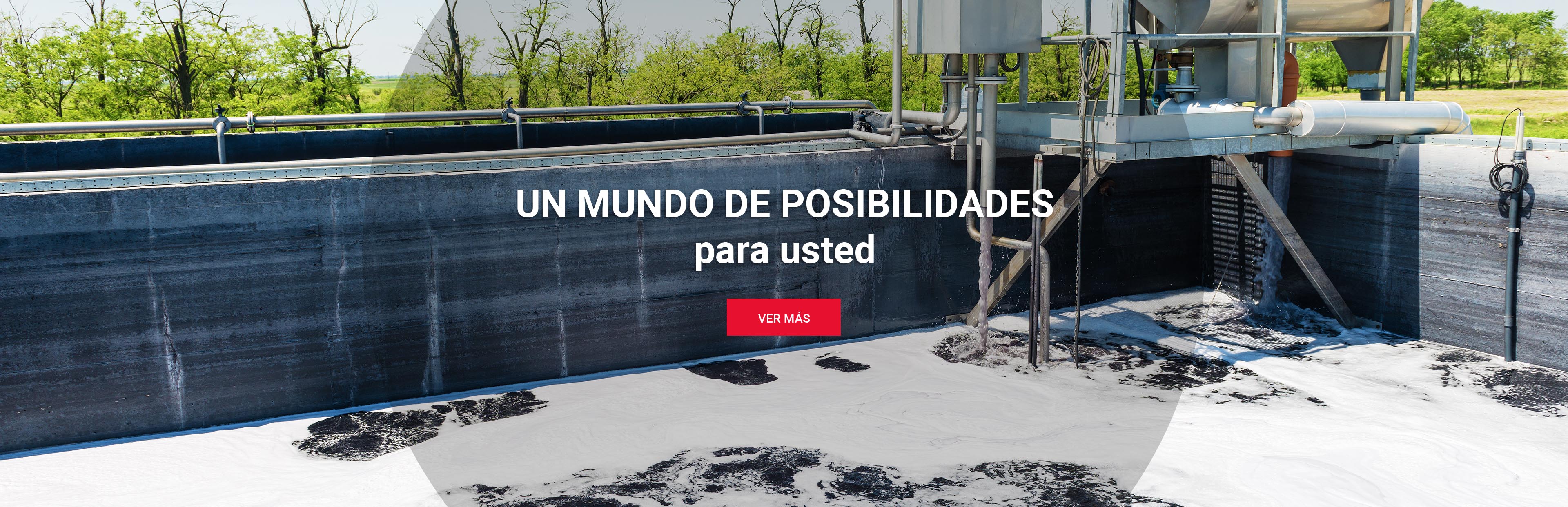 DTFQ cuarto slide